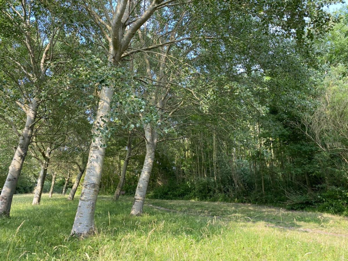 Krabbenkreek 2 Villa Sint Annaland Eksteriør billede