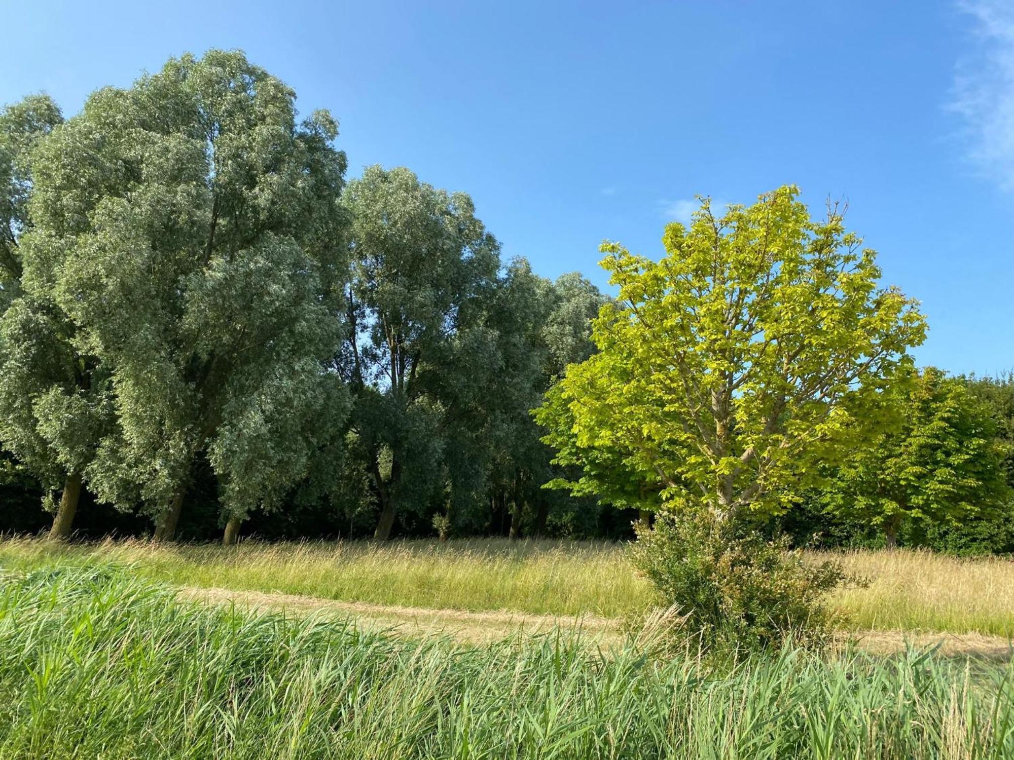 Krabbenkreek 2 Villa Sint Annaland Eksteriør billede