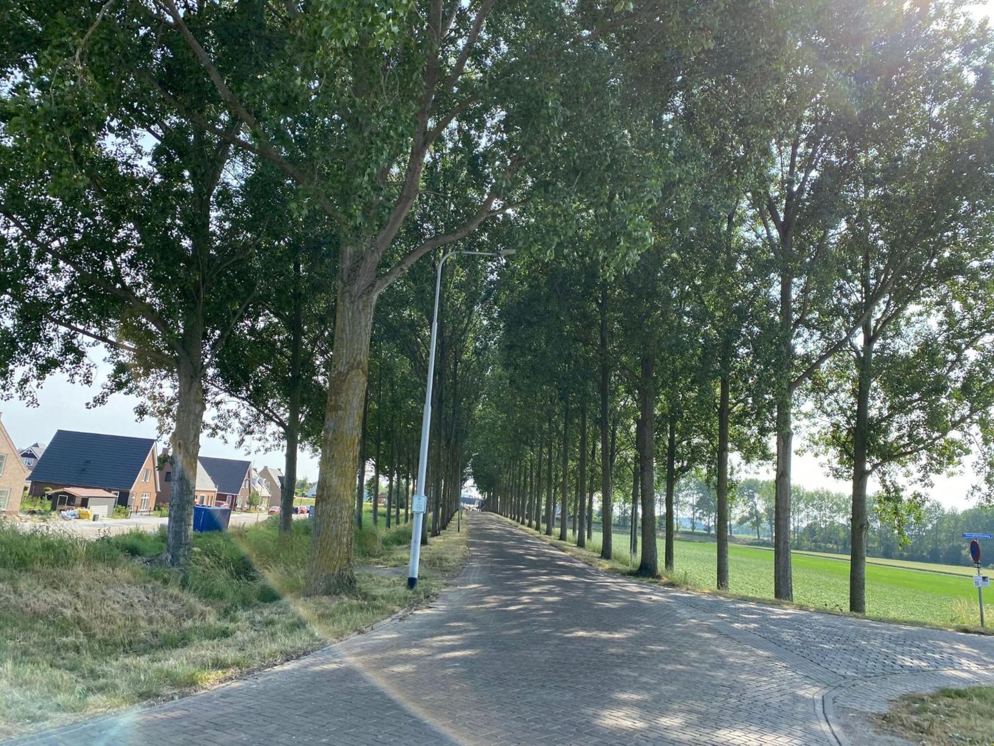 Krabbenkreek 2 Villa Sint Annaland Eksteriør billede