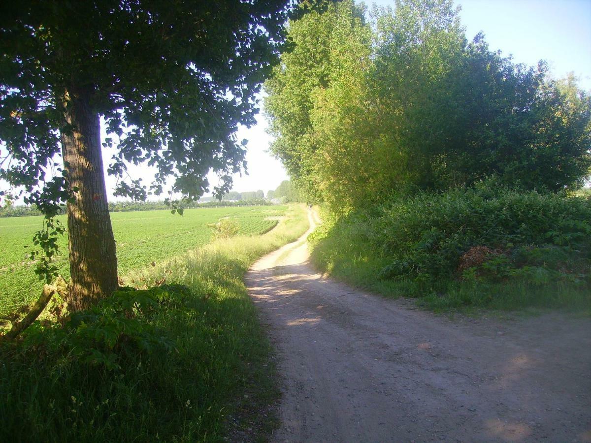 Krabbenkreek 2 Villa Sint Annaland Eksteriør billede